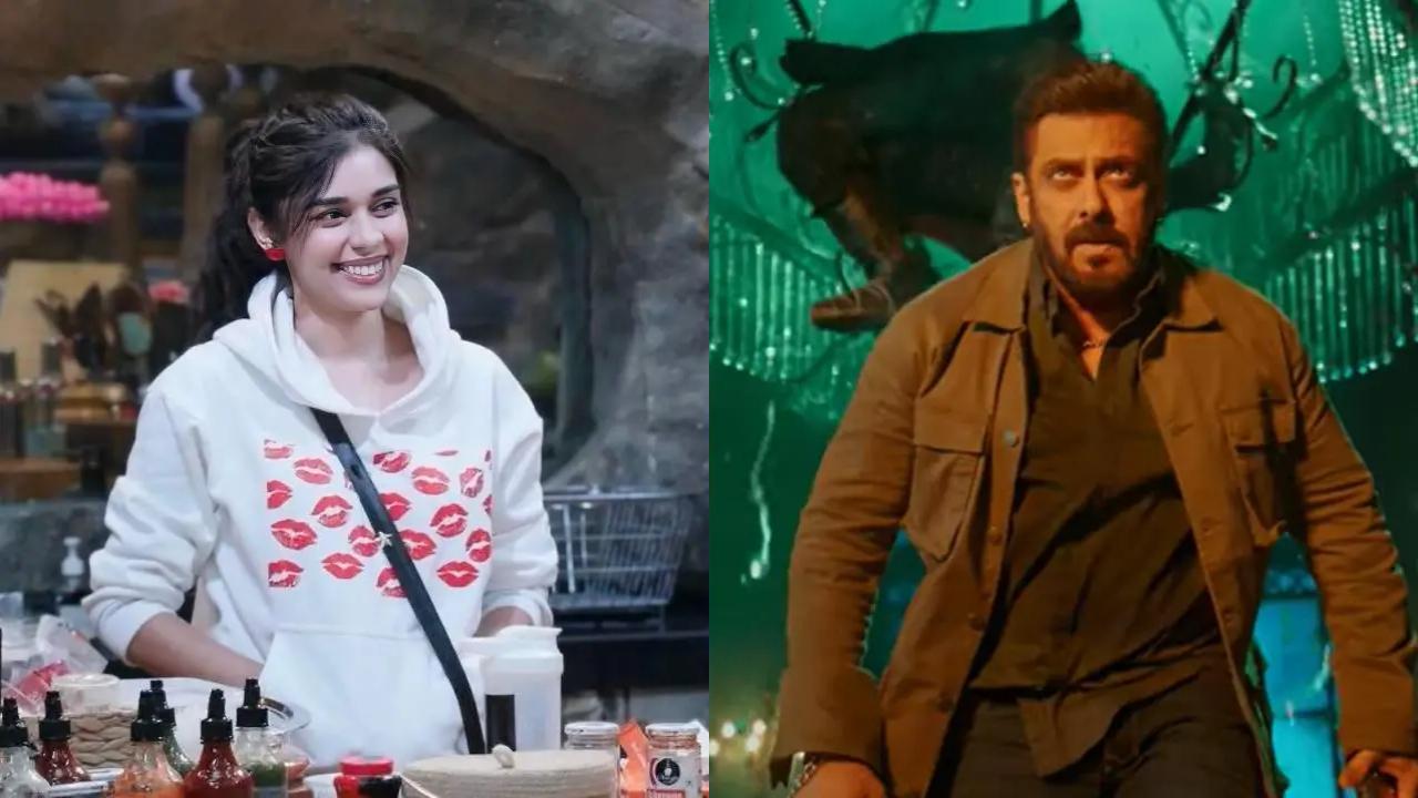 Ent Top Stories: Salman Khan teases Eisha Singh with Shalin Bhanot's name