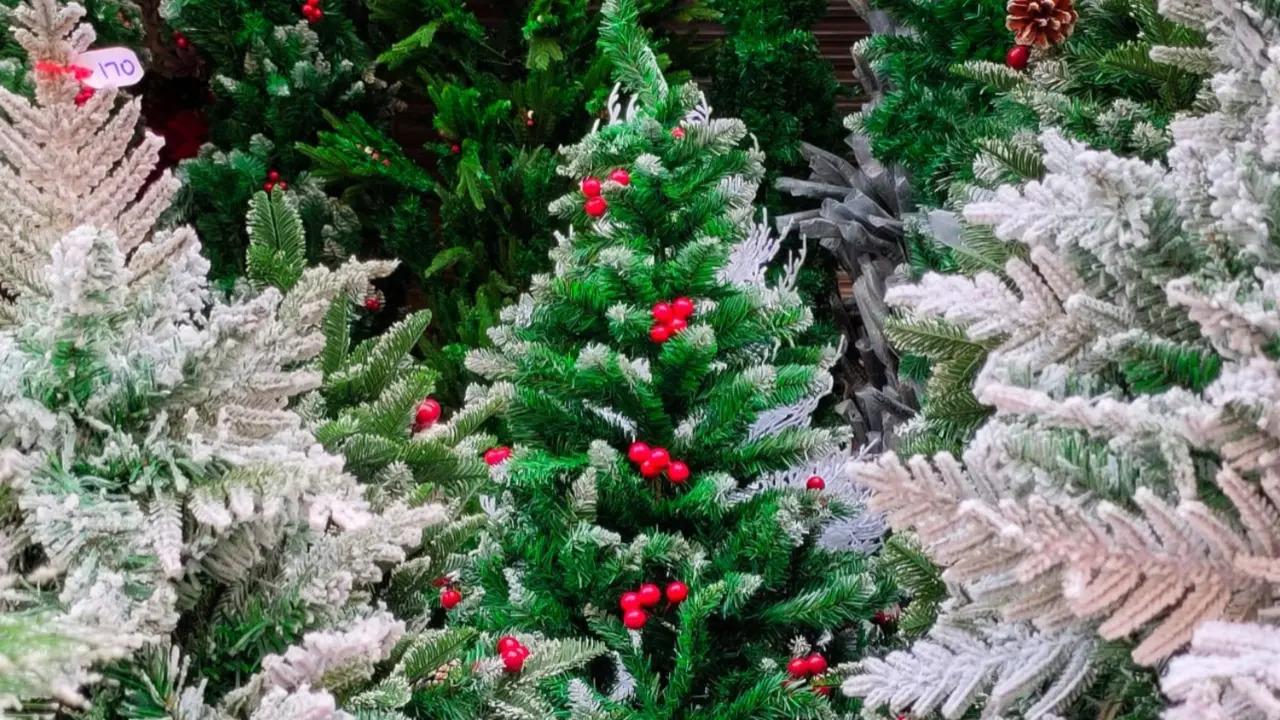 IN PHOTOS: Mumbaikars shop for Christmas at Bandra's Hill Road market