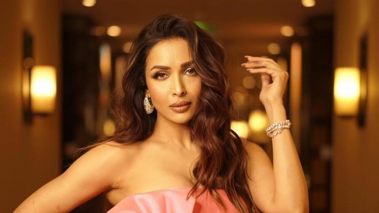 Malaika Arora reacts to Arjun Kapoor announcing his single status