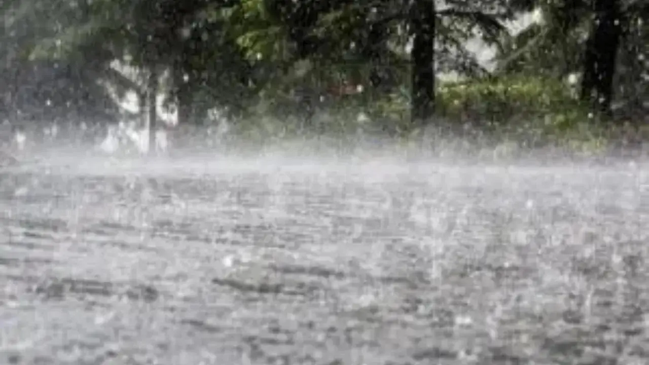 Schools to remain closed in 11 districts of Tamil Nadu over heavy rains forecast