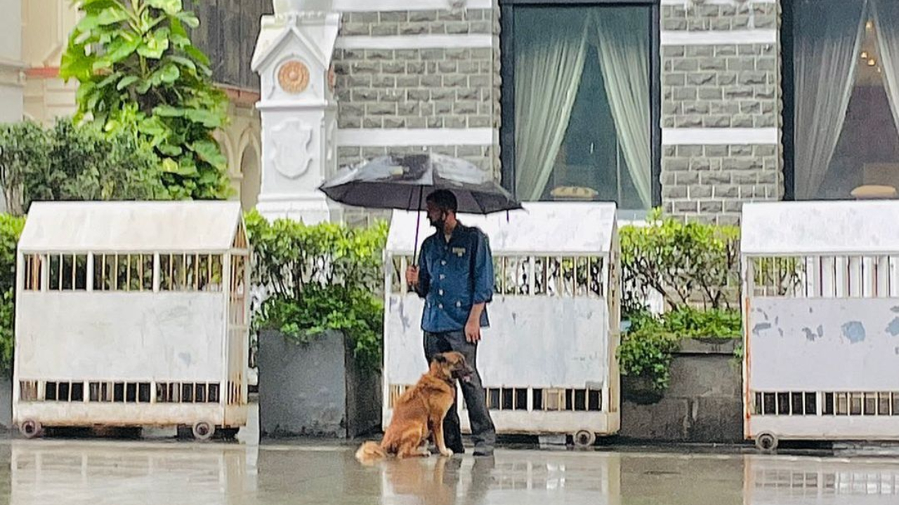 It was not only his personal experiences but also those he saw on the street including this one where he spotted a Taj employee giving shelter to a stray dog under his umbrella in the rain.