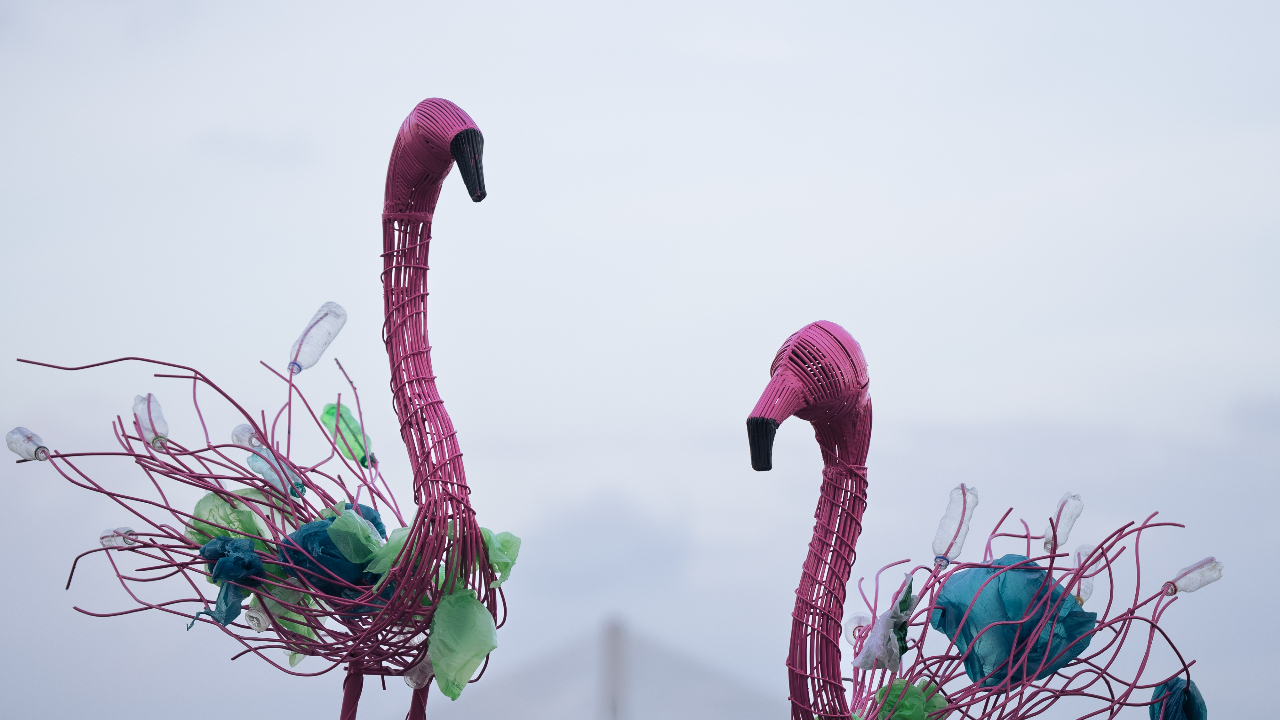 These sculptures, made from wire mesh and locally sourced materials, are not just artistic expressions but a call for reflection. Each piece depicts wildlife interacting with human waste, a subtle yet poignant reminder of how our daily habits—from plastic use to urban expansion—impact ecosystems.
Where: Carter Road, Shivaji Park and Juhu Beach
When: October 4-6