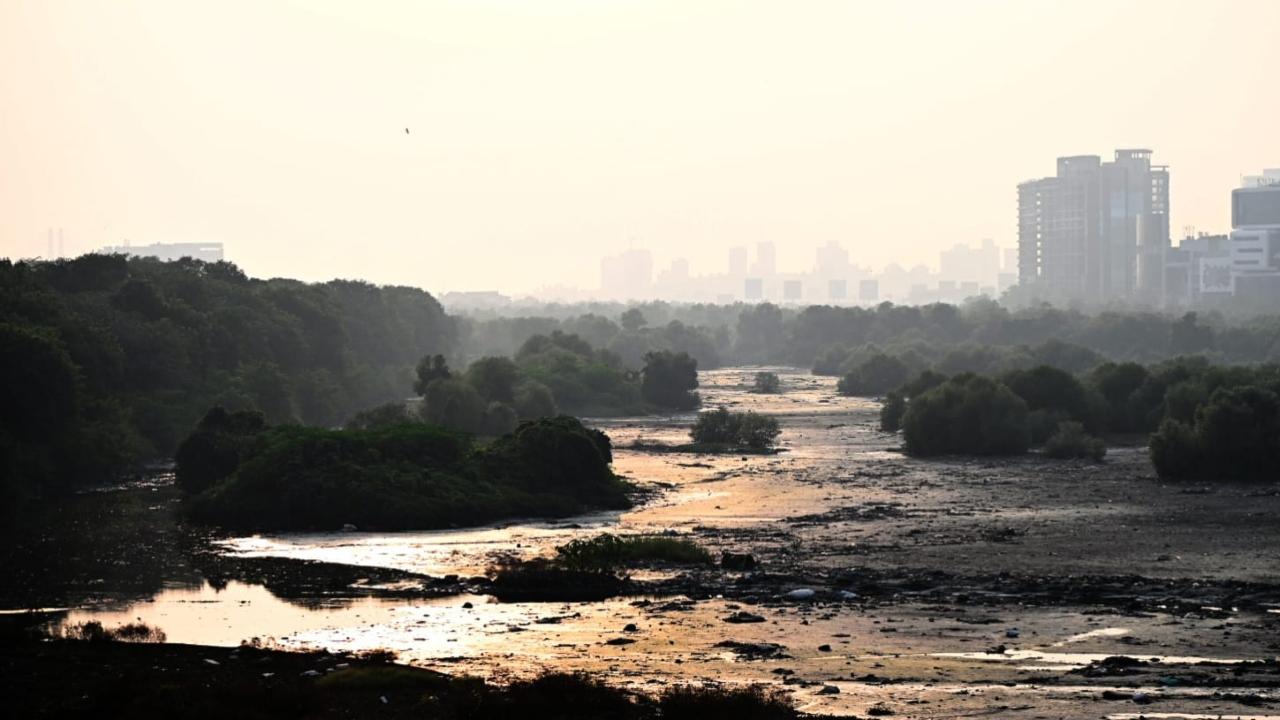 The Colaba observatory on Monday recorded a temperature of 33 degrees Celcius which is 1.3 degrees below normal temperature. Pics/Kirti Surve