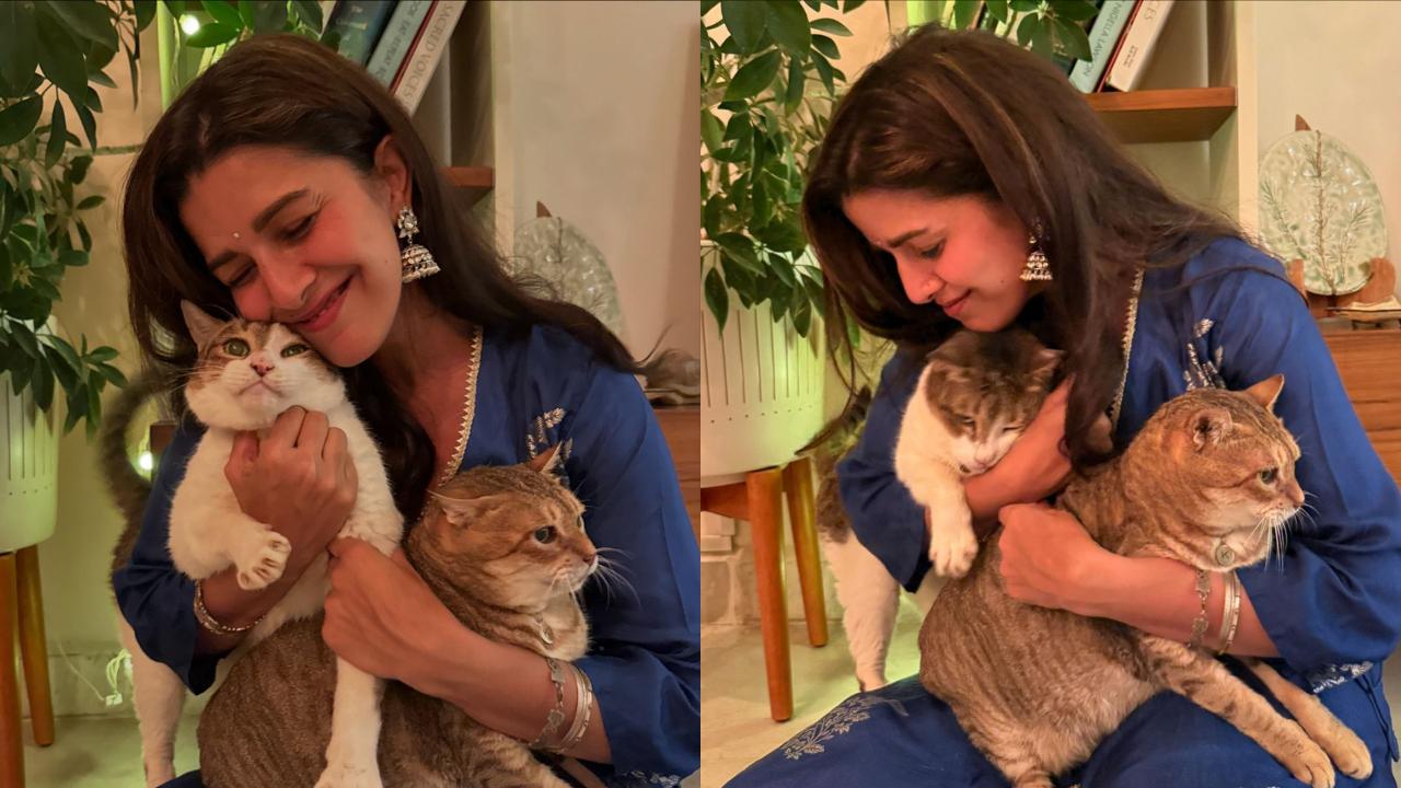 Nimrat Kaur urges for a cracker-free Diwali for her furry friends