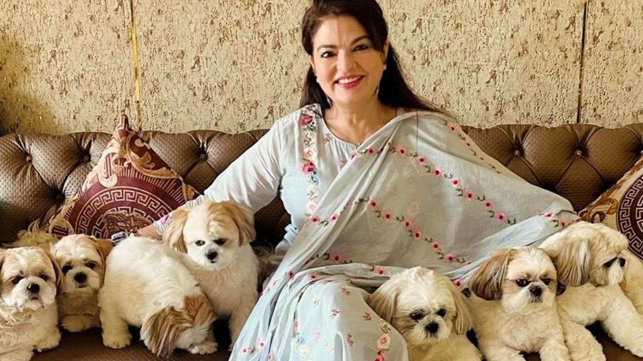 Sheeba Akashdeep Sabir pleads for an animal-friendly Diwali: ‘They are deafened, it's scary' | Exclusive