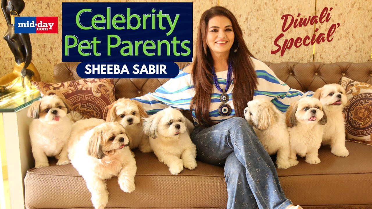 Celebrity Pet Parents: Sheeba Akashdeep Sabir and her 7 Shih Tzu dogs