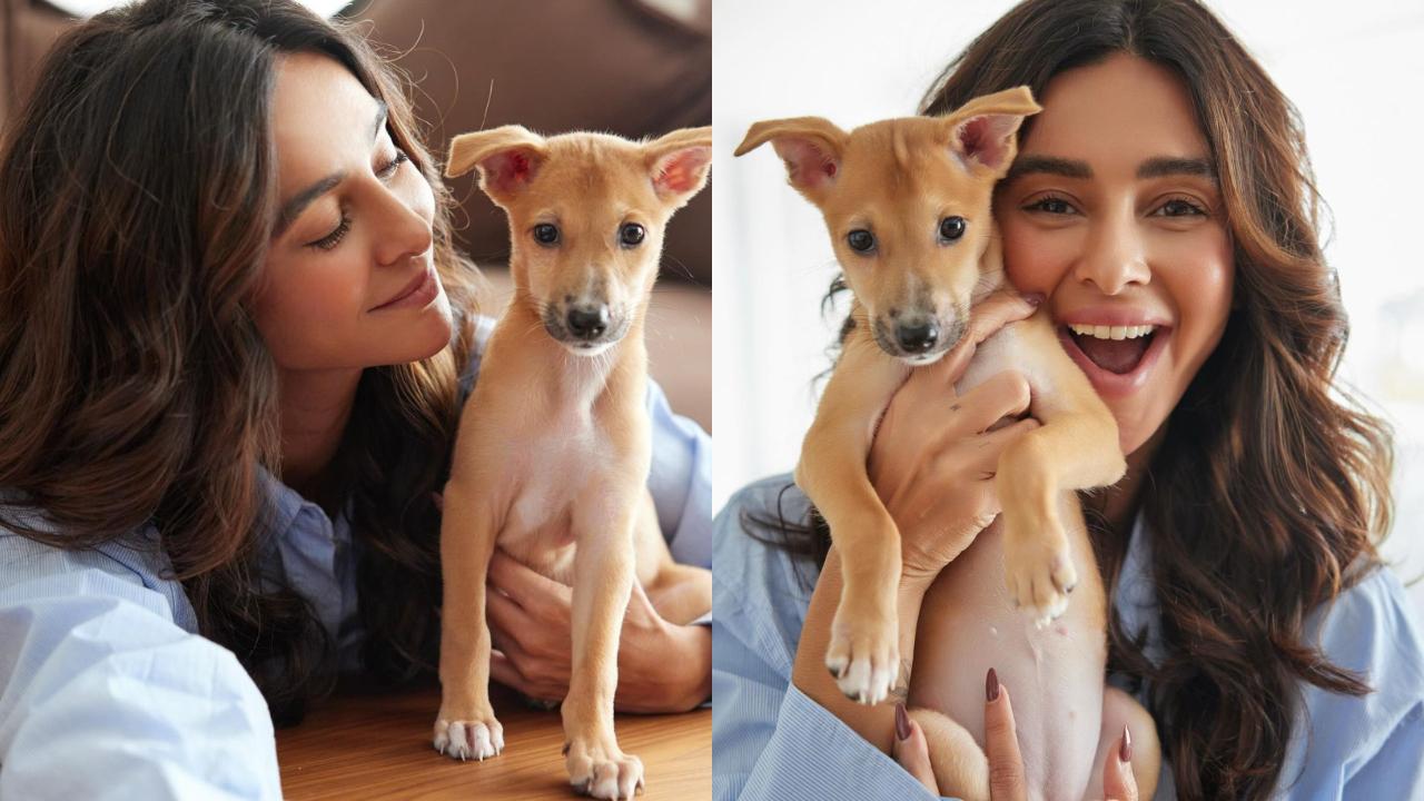 Meet Gigi, the little rescue pup bringing big joy to Shibani and Farhan Akhtar’s family